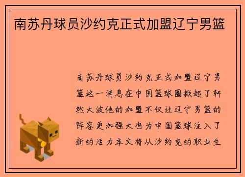 南苏丹球员沙约克正式加盟辽宁男篮